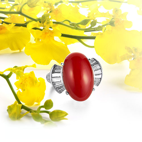 3月の誕生石 サンゴ CORAL